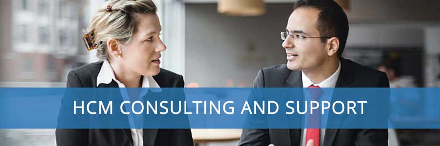 HCM Consulting and Support